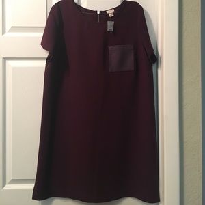 NWT Jcrew short sleeve dress w leather pocket